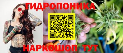 мяу мяу мука Брянск