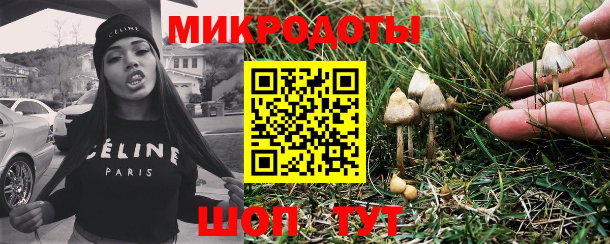 Псилоцибиновые грибы прущие грибы Бор